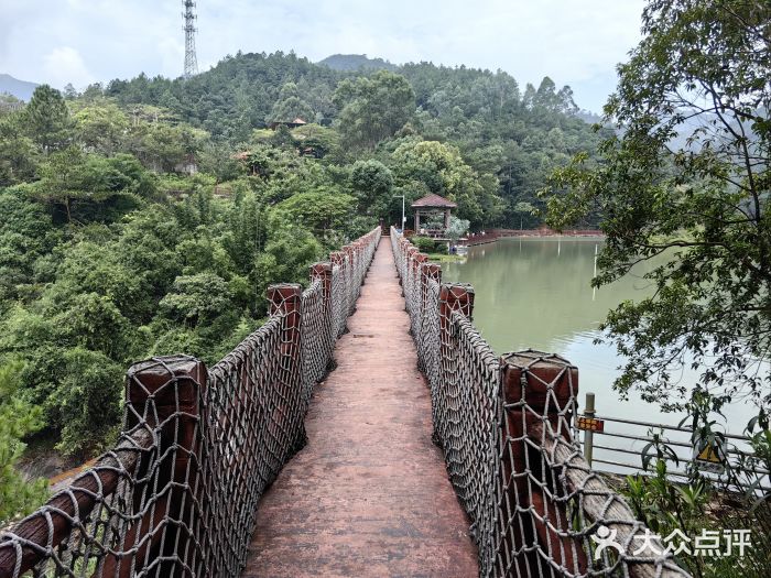 广州白江湖森林公园图片