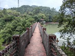 -广州白江湖森林公园