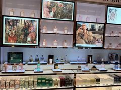 -DFS迪斐世(澳门新濠天地店)