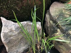 -三峡古玩城(泰古广场店)