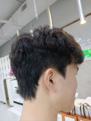 -秦·专注剪发