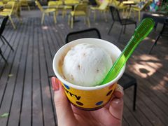 椰子冰激凌-莓园冰淇淋店