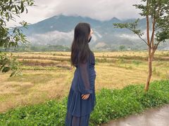 -杨家堂村