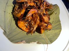 胡味油爆虾-桂满陇天书(南京德基旗舰店)