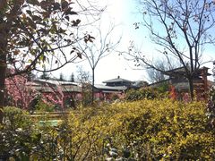 -华山御温泉度假村