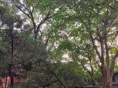 -成都武侯祠博物馆