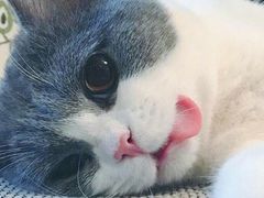 -美玲拉面(鞍山西道店)