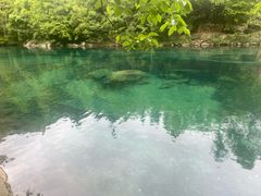 -石台牯牛降景区