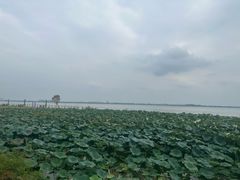 -七的湖·晚芳亭·阳澄湖农家菜·大闸蟹(莲花岛店)