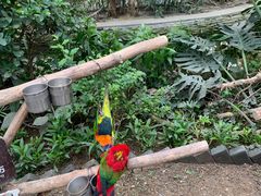 -南宫五洲植物乐园