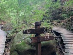 -本溪汤沟绿石谷森林公园