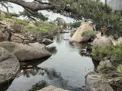 -罗红摄影艺术馆