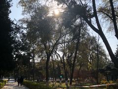 -东北大学(南湖校区)