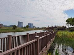 -太湖湖滨国家湿地公园-停车场