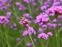 -杭州城北体育公园