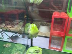 -三旗百汇商品城