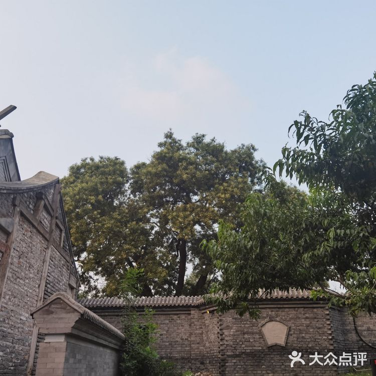 饭后闲逛，茶鱼乘凉