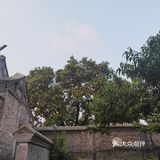 饭后闲逛,茶鱼乘凉