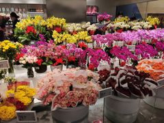 -盒马X会员店(王府井奥莱UP TOWN店)