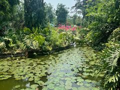 -海南热带野生动植物园