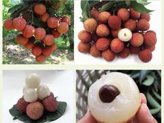 -鲜力达果品批发直销(无锡保利香槟店)