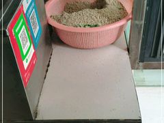 -五中炕饼