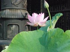 -宝光寺