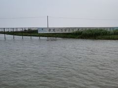 -洪湖生态旅游区