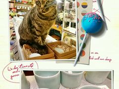 -猫的天空之城概念书店(西塘古镇店)