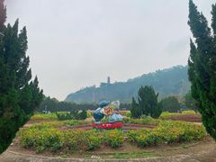 -南沙蒲洲花园