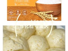 -Big House当代艺术中心