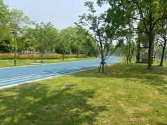 -贡湖湾湿地公园