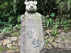 -都江堰中华大熊猫苑