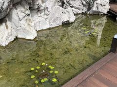 -裕龙汤泉