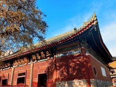 -天津大悲禅院