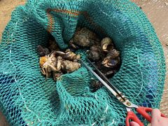 -巧克力渔家.小船海鲜胶东菜(万平口店)