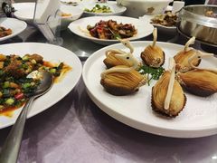 -宝燕壹号(徐汇店)