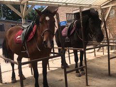 -月河湾马术俱乐部(朝阳店)