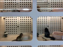 -comecome来吧宠物(奥克斯中心店)