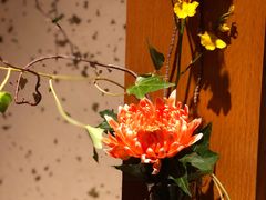 -希望日本料理(保利香槟花园店)