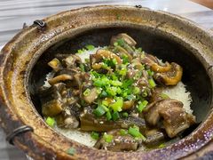 -红星光发煲仔饭(大石街店)