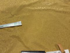 -202特色排档(五缘湾店)