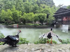 -车溪民俗旅游区