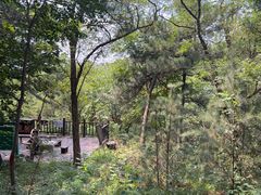 -北京十三陵国家森林公园蟒山景区