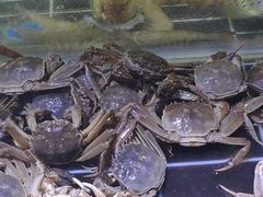 -聚盛源蒸汽海鲜火锅烤肉自助(巨川金海岸购物广场店)