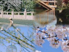 -广富林郊野公园