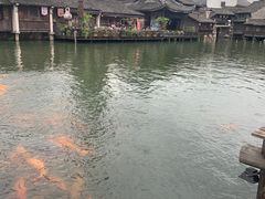 -75幢私房菜馆