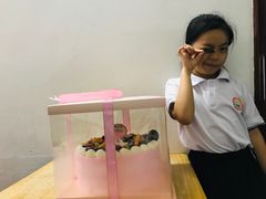 -六伴夏烘焙蛋糕·低糖动物奶油