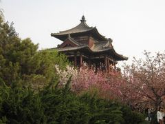 -西安青龙寺遗址景区