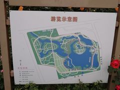 -大兴滨河森林公园